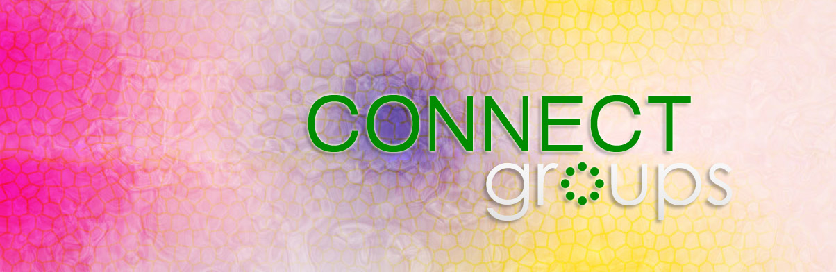 Connect Groups